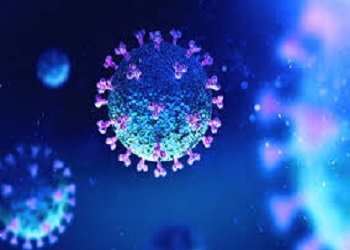 Korona Virüs İlaçlama
